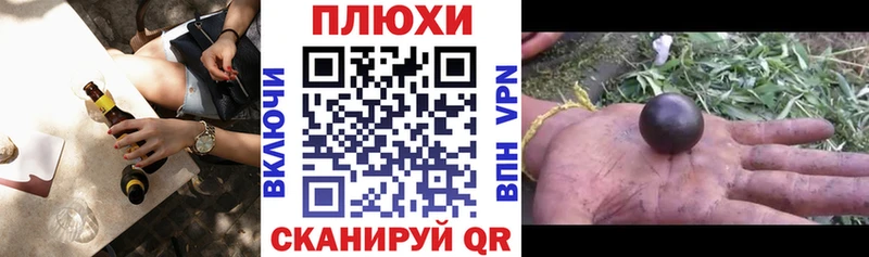 ГАШ Изолятор  Орехово-Зуево 