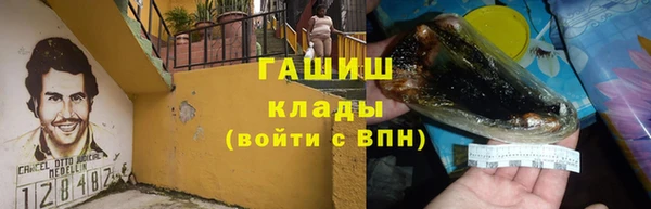 прущие грибы Богородицк