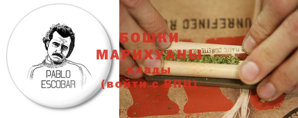 прущие грибы Богородицк