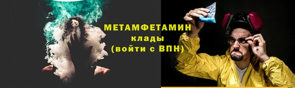 прущие грибы Богородицк