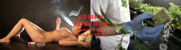 прущие грибы Богородицк