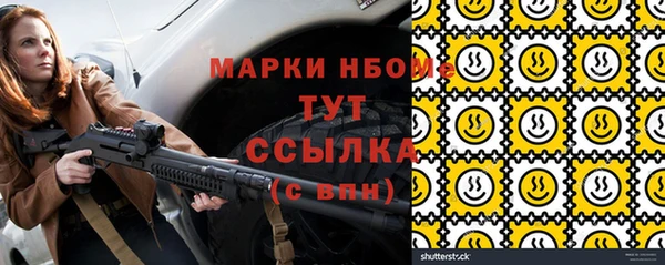 прущие грибы Богородицк