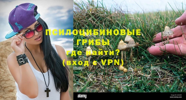 ALPHA-PVP Богородск