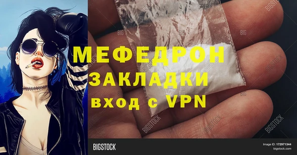 прущие грибы Богородицк