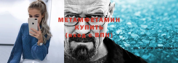 прущие грибы Богородицк