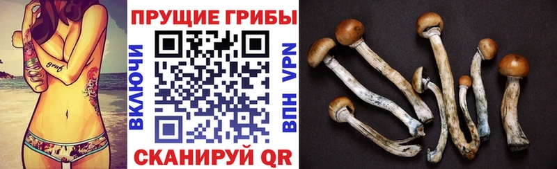 Псилоцибиновые грибы мицелий  Орехово-Зуево 